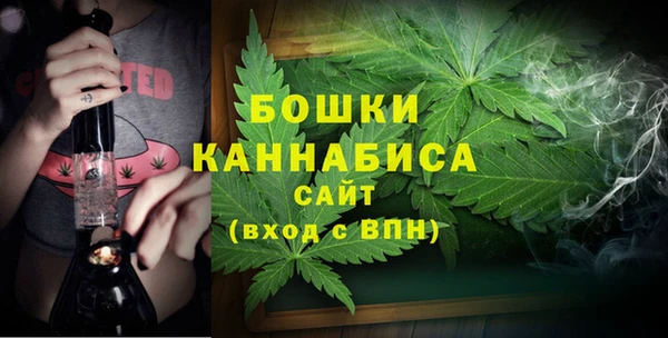 индика Бугульма